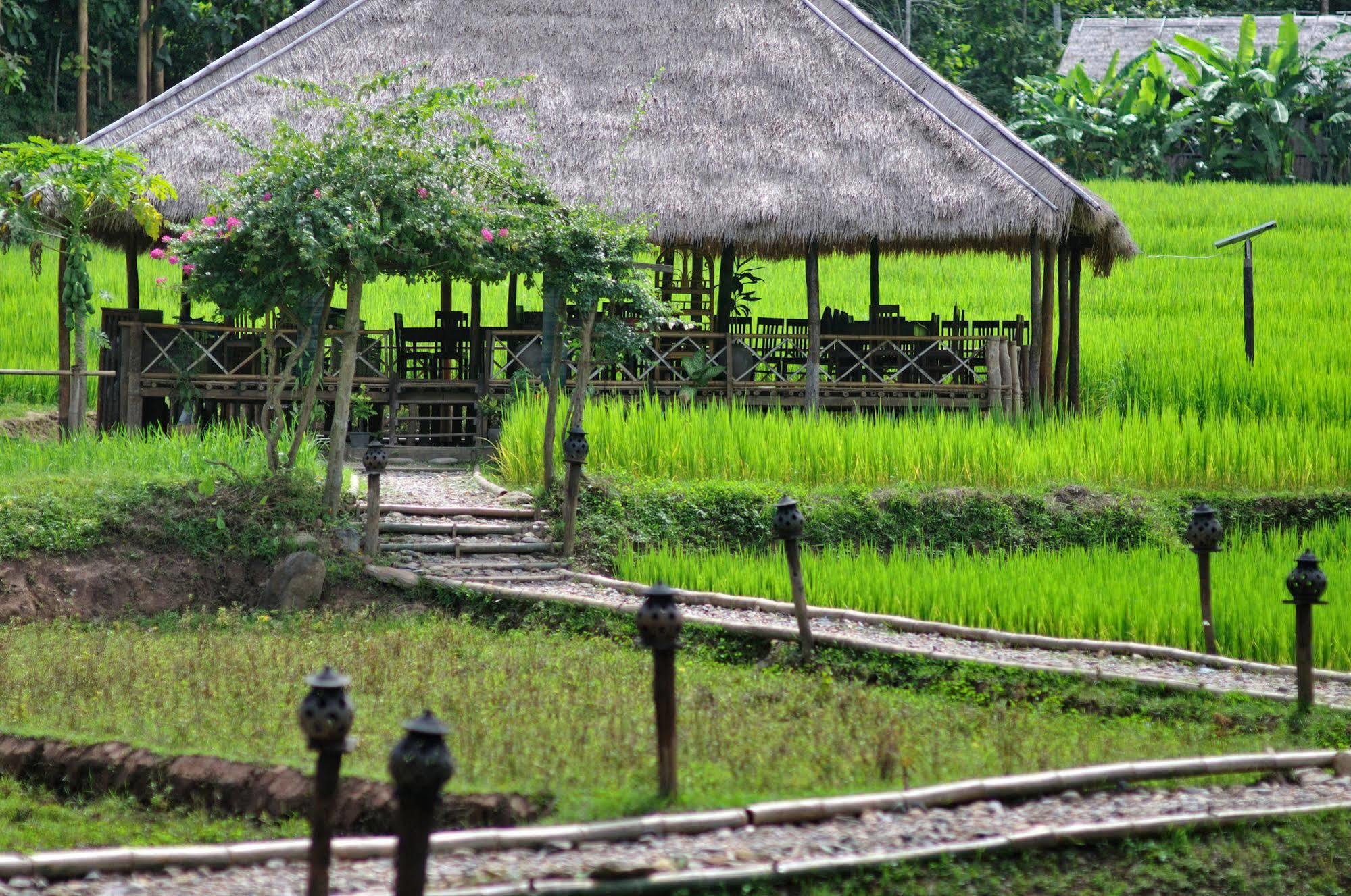 Kamu Lodge Pak Ou Dış mekan fotoğraf